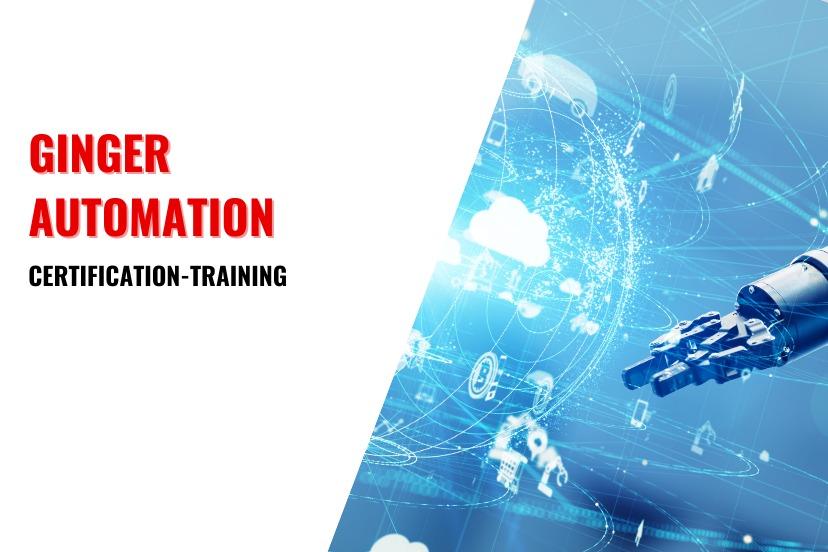 Ginger Automation